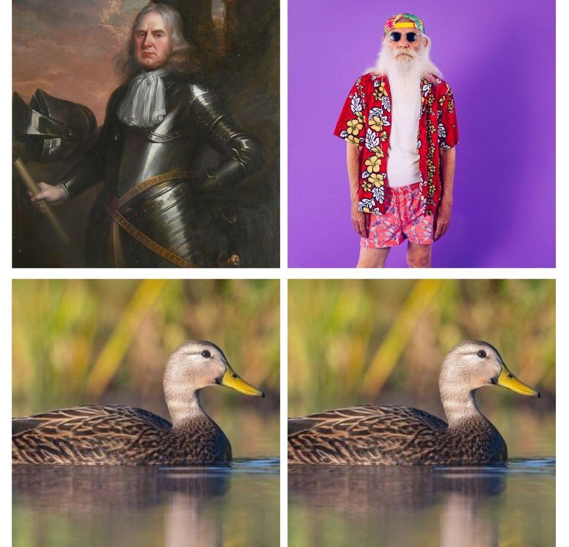 How fleeting are all human passions compared with the massive continuity of ducks How fleeting are all human passions compared with the massive continuity of ducks