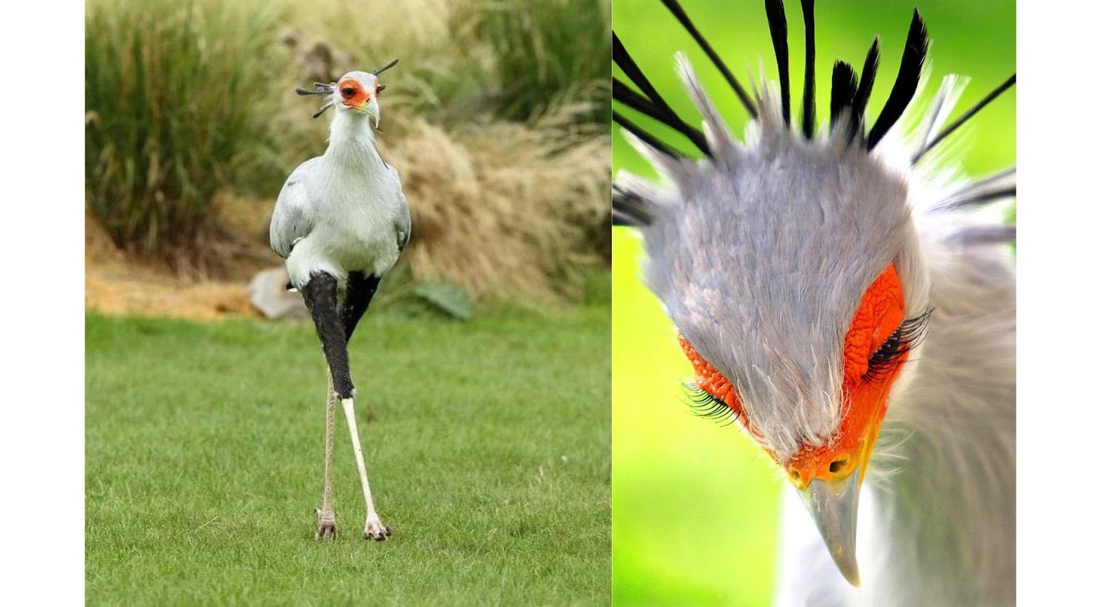 What We Have In Store For 2026