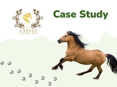 Australian Miniature Horse Society