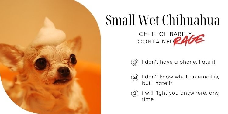 canva template customised