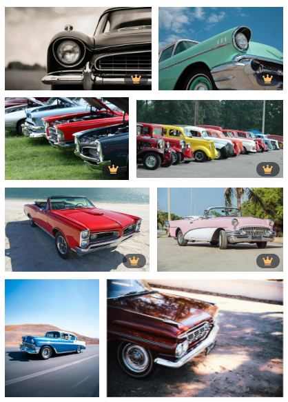 Canva stock images