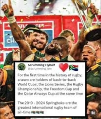 Tweet about the Springboks